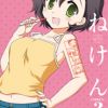 あねけん