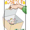 こらぼっくす
