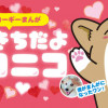とんきちだよ ニコニコ