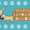 エフ漫画 ゴールデンレトリバーのエフとコメとの楽しい暮らし
