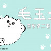 毛玉犬