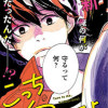 こっち向いてよ向井くん