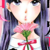 高嶺の蘭さん