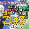 こはる はる!