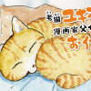 老猫ユキポンと漫画家父ちゃんのお仕事なし
