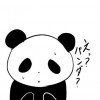 今日からパンダ