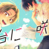 舞台に咲け!