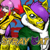 STRAY CAT