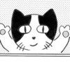 ネコも知ってる 建設よもやま話