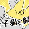 猫と子猫と飼い主と