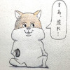 ウチのハムスター