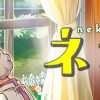 ネコの掟