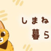 しまねこ3姉妹と暮らしています