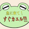 急に来てすぐカエル