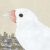 東京ヒゴロ