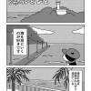 そら豆日記