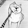 コタニさんちの柴犬は