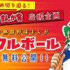 【全巻無料】『ミラクルボール』