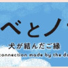 ドベとノラ 2 犬が結んだご縁