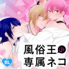 風俗王の専属ネコ