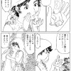 更科物語