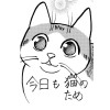 今日も猫のため