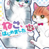 ねこ、はじめました 番外編