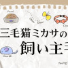 三毛猫ミカサの飼い主手帖