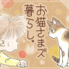 お猫さまズ暮らし。