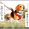 多頭飼いって大変?!