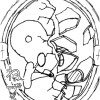 ねずみ(エナジーズ)鏡の章