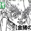 金猪の渡り