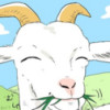 きくち栞