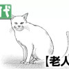 老人と猫