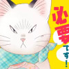 おひとりさま男子は猫の手が必要です!