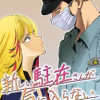 新しい駐在さんが気に入らない