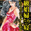 高級娼婦たちの寝室～プロフェッショナルな女～