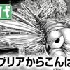 カンブリアからこんばんは