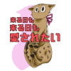 来る日も来る日も愛されたい