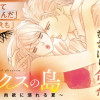 幻とジンクスの島～美形上司と肉欲に溺れる夏～
