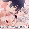 王様の奴隷～もうお前を逃がさない～