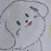私とシュワちゃん