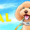 DOG SIGNAL(1～12巻)
