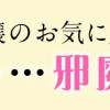 悪役令嬢のお気に入り 王子……邪魔っ