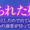 捨てられた妃 めでたく離縁が成立したので出ていったら、竜国の王太子からの溺愛が待っていました