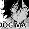 DOG MATIC