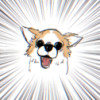 オオイ