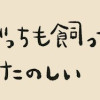 犬と猫どっちも飼ってると毎日たのしい