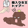 箱入り女王トイプー