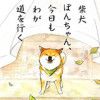 柴犬ぽんちゃん、今日もわが道を行く